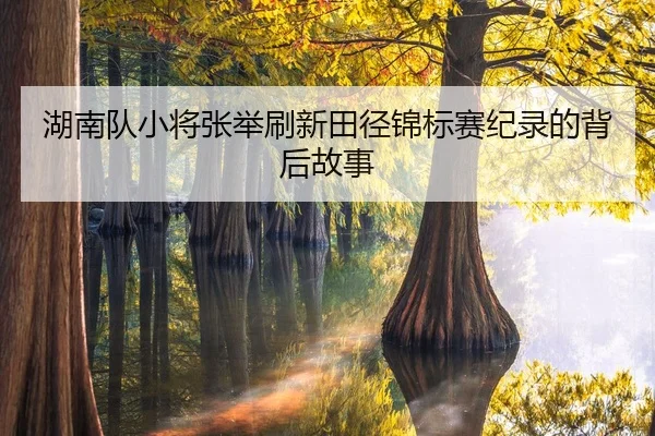 湖南队小将张举刷新田径锦标赛纪录的背后故事